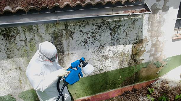 Trusted Mold Testing service in Loysburg, PA - Cheap Mold Removal